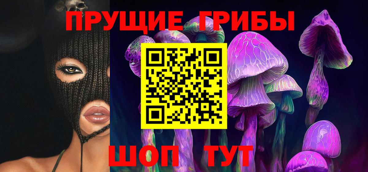 Псилоцибиновые грибы GOLDEN TEACHER  Вход с VPN  Сертолово 
